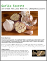Garlic Secrets