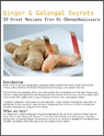 Ginger and Galangal Secrets