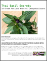 Thai Basil Secrets