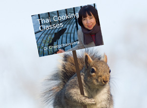 Squirrel with placard